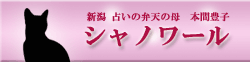 新潟　占い師　弁天の母がいるシャノワール