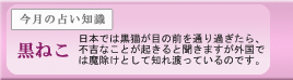新潟　今月の占い